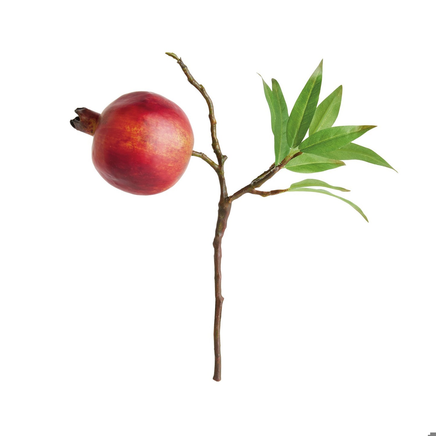 POMEGRANATE PICKS 10"