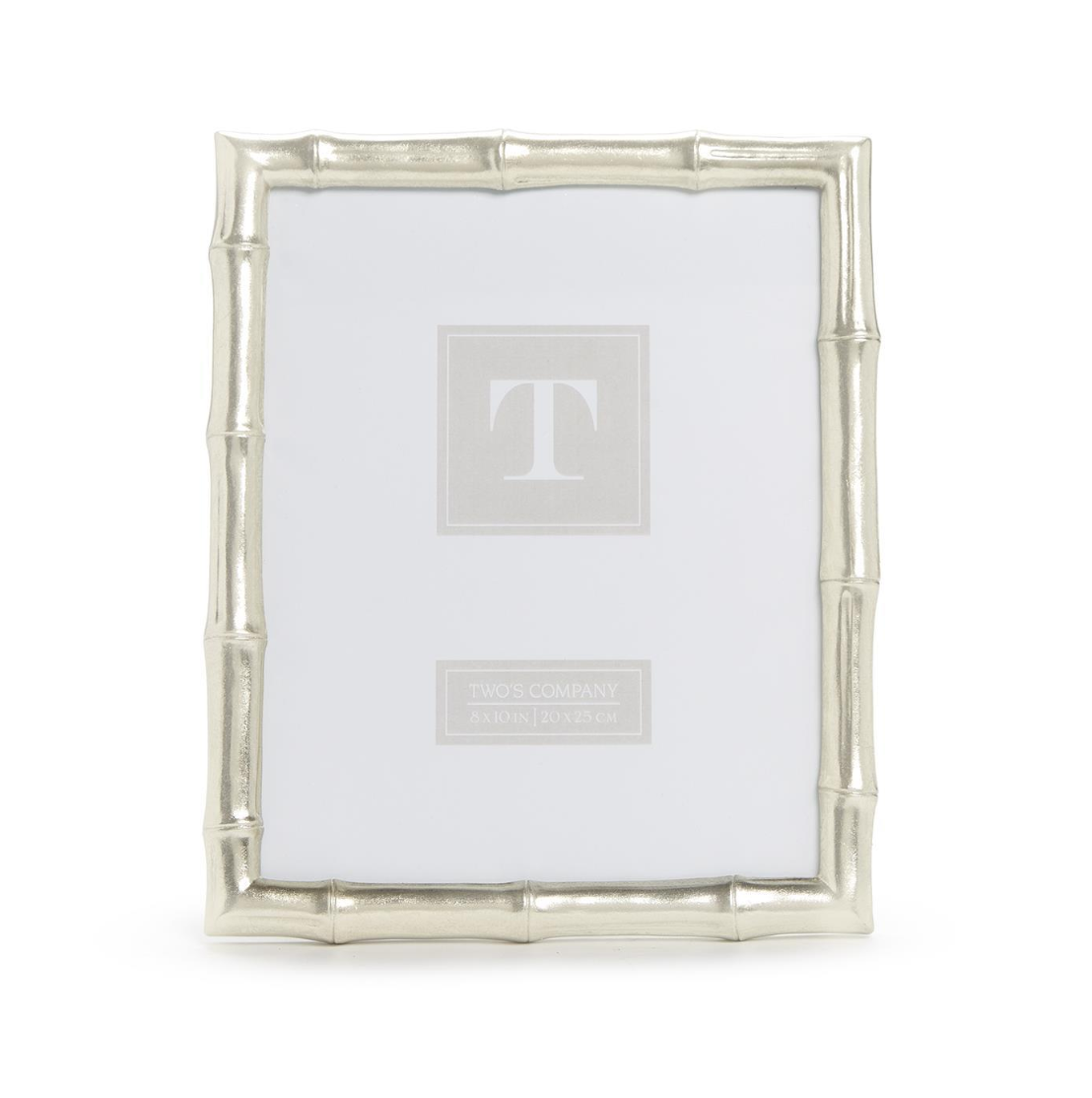 Silver Bamboo Frame 4x6