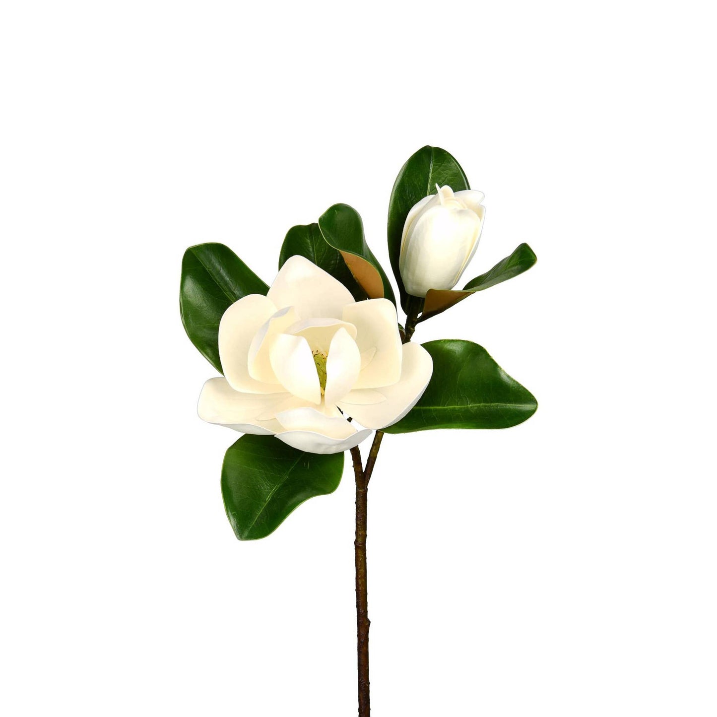 Magnolia Flower And Bloom Stem - 27 Inch