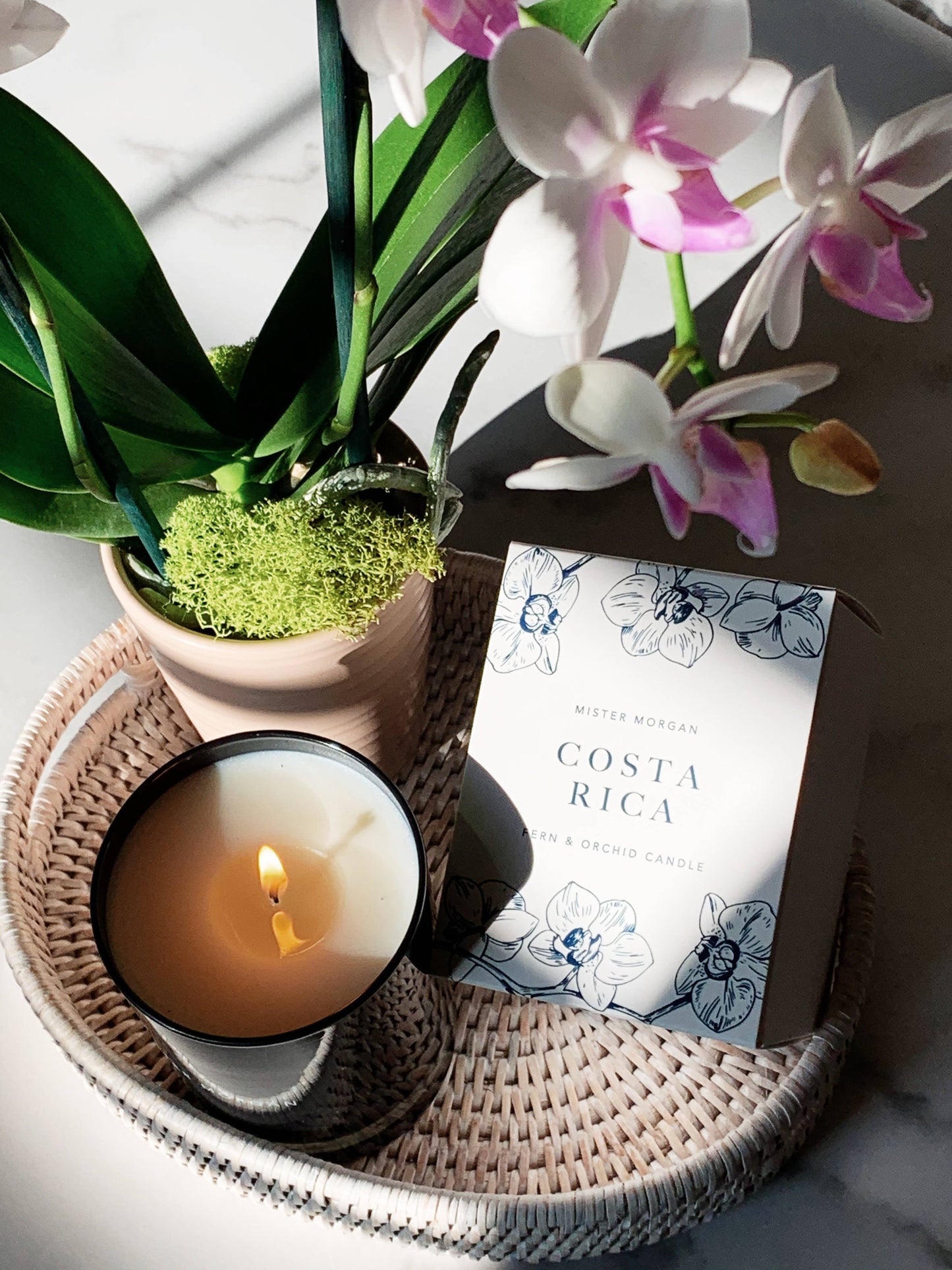 Costa Rica: Fern & Orchid Candle