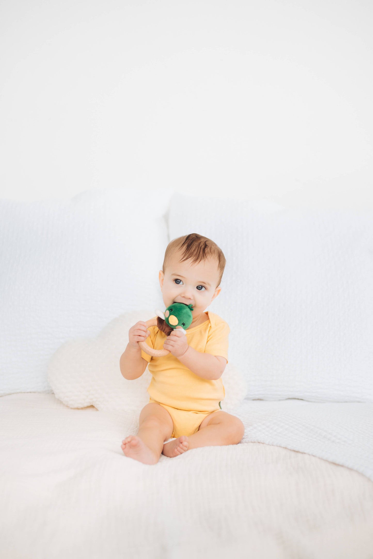 Mallard Duck Wooden & Plush Baby Teether