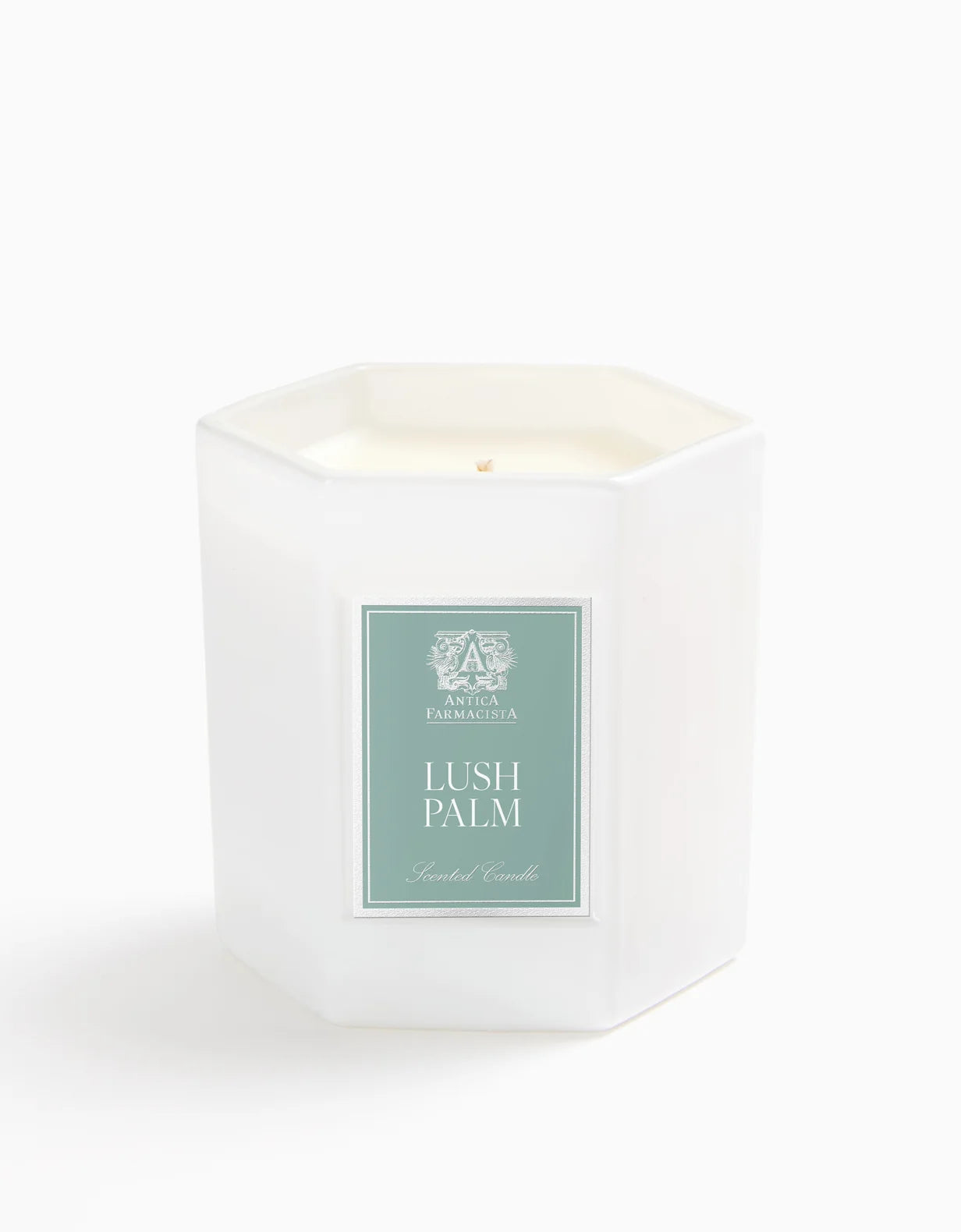 Lush Palm 9oz  Candle