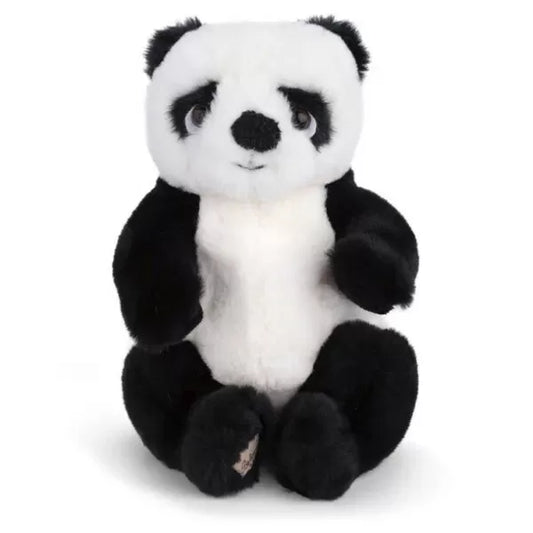 Baby Jie Je