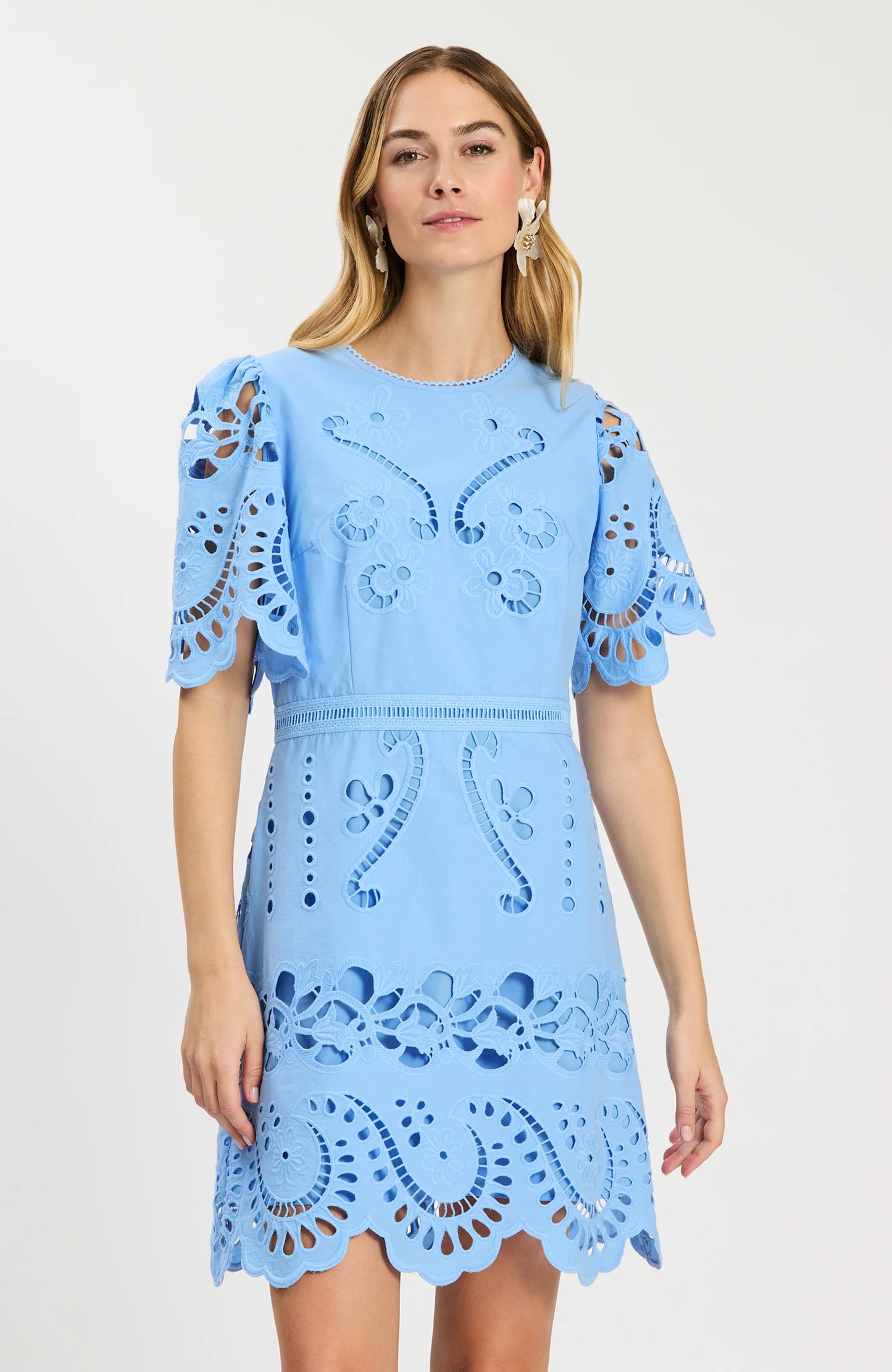 Lacey Embroidered Dress