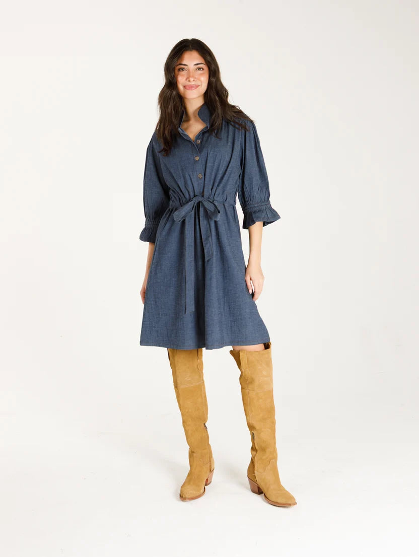 Stella Stretch Denim Dress