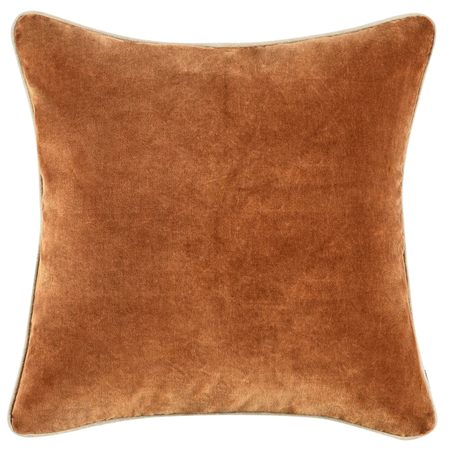 Heirloom Velvet Hazel 22x22 Pillow