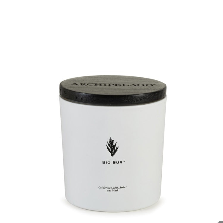 BIG SUR LUXE 2-WICK CANDLE