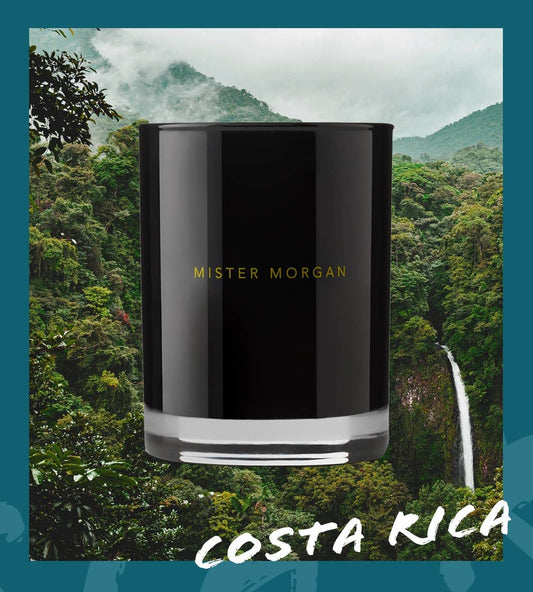 Costa Rica: Fern & Orchid Candle