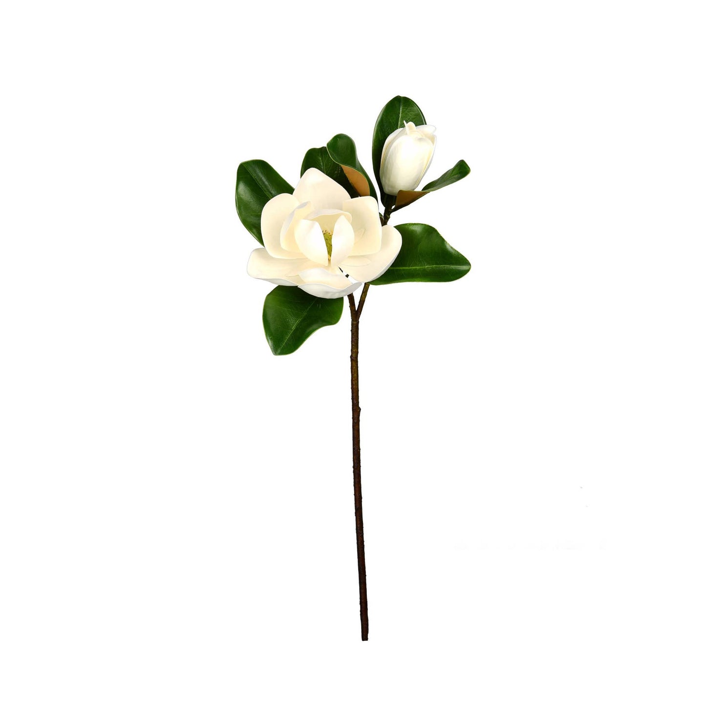 Magnolia Flower And Bloom Stem - 27 Inch